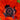 Papaver orientale 'Brilliant'