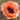 Papaver orientale 'Salmon Glow'