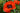 Papaver orientale 'Türkenlouis'
