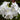 Phlox paniculata 'White Admiral'