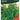 Rocket Seeds (Wild)