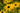 Rudbeckia fulgida deamii