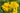 Rudbeckia laciniata 'Goldquelle'