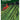 Runner Bean Scarlet Emperor Seeds