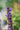 Salvia nemorosa 'New Dimension Blue'