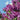 Syringa vulgaris 'Prince Volkonsky' (Lilac) 3L