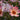 Rose For Your Eyes Only | Floribunda | 4L Potted Rose (PRE ORDER DECEMBER '25)