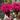 Monarda didmya Red Shades 9cm
