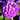 Primula denticulata Lilac (Drumstick Primrose) 9cm/1.5L