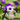 TradescantiaTemp