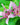 Tricyrtis hirta
