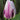 Tulipa 'Flaming Prince' Bulb