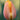 Tulipa 'Mango Charm' Bulb