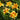 Tulipa 'Monsella' Bulb