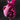 Tulipa 'Negrita Parrot' Bulb