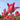 Tulipa 'Virichic' Bulb