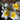 Tulipa polychroma Bulb