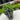Euphorbia x martinii  'Tiny Tim' 9cm/2L