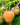 Allgold Raspberry