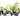 Lincolnshire Pond Plants dragonflies & damselflies  Marginal 8 Pack Potted -DD802