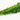 Egeria Densa - 1- 500 Bunches / Oxygenating Pond Water Plants/ weed - OX004