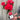 Standard Rhododendron Red (80cm)