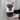 Salvia - Synchro Blue 1.5L