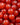 Red currant bush  'Jonkheer van Tets' 2L / 4L