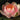 Phoebus water lily - pond plants - SW07