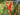 Mimulus cardinalis (Scarlet monkey flower) - Marginal Pond Plants - Pond Plants - Water Plants-0