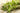 Lincolnshire Pond Plants Bee Pack Potted-940