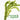 Egeria densa - Aquarium Plants -0