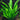 1 - 100 Plants-Oxygenating Tropical Water Aquarium Live Plants- Java Fern-2782