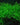 10g - 250g JAVA MOSS live aquarium carpet plant bogwood ornament fish fry shrimp-0