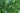 Juncus effusus (Soft rush) - Marginal Pond Plants - Pond Plants - Water Plants-0