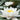 Marlacea Albida water lily - pond plants - water lilies - aquatic plants-0