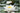 Marlacea Albida water lily - pond plants - water lilies - aquatic plants-0
