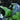 Lincolnshire Pond Plants dragonflies & damselflies Marginal 8 Pack-849
