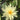 Sioux water lily - pond plants - water lilies - aquatic plants-0