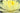 Yellow Sensation water lily - pond plants - water lilies - aquatic plants-0