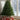 Nordmann Fir Fresh Cut Christmas Tree - Real Live Fresh Seasonal Xmas Tree