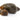 Great Pond Snails x 2 - Eats Algae Fresh Cold & Tropical Aquarium Lymnaea Stagnalis