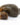 Greater Pond Snail (Lymnaea stagnalis) - Fish or Wildlife Pond and bog Aquatic Plants (1 - 10)
