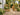 Solid oak garden arch